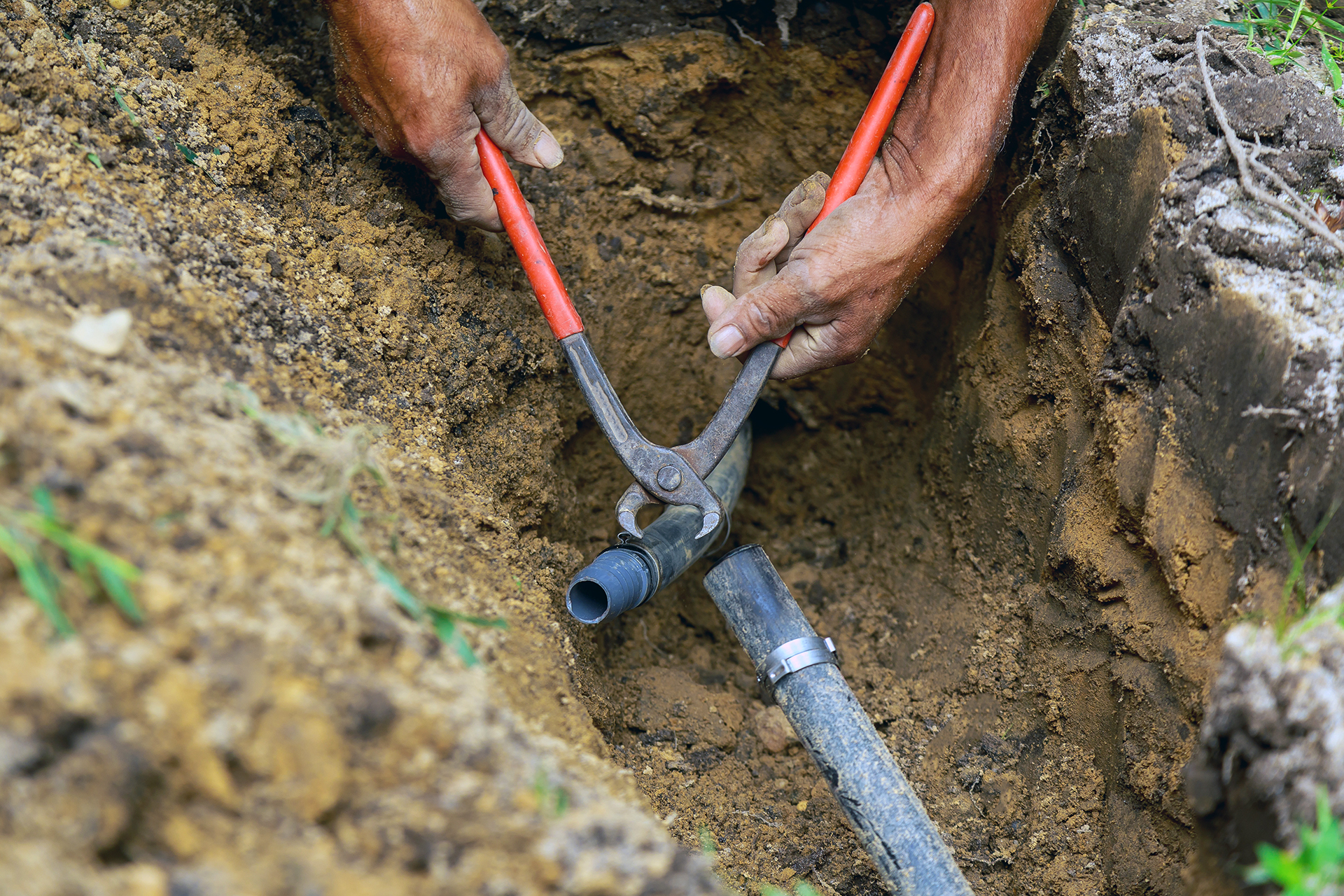 Sprinkler System in Action